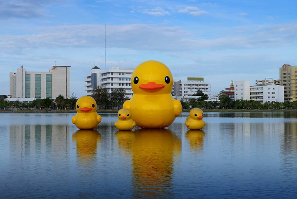 Famille de canards jaunes flottant dans le parc
 - Photo, image