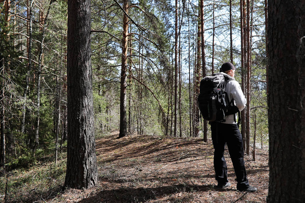 Bir turist bir çam ormanı ile bir sırt çantası içinde bir adamdır. A tr hiking - Fotoğraf, Görsel