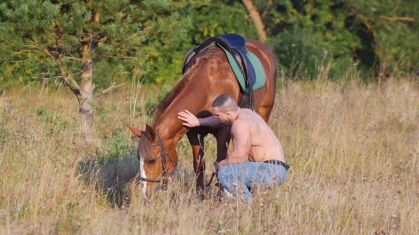 männlicher Bodybuilder, der auf einem Feld neben dem Pferd sitzt und das Pferd streichelt - Foto, Bild