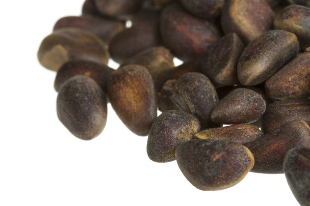 cedar nuts - Фото, изображение