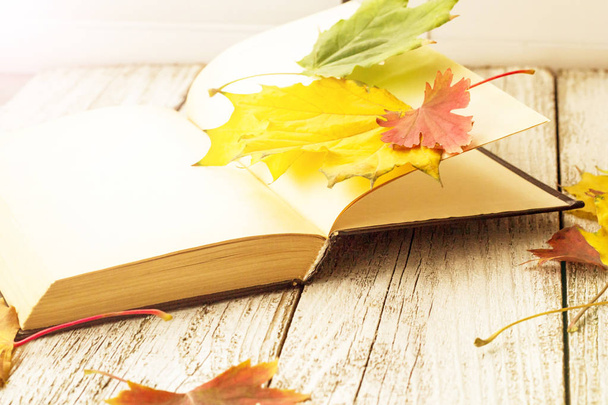 Libro abierto y hojas de arce de colores sobre fondo de madera blanca, tonificado
 - Foto, imagen