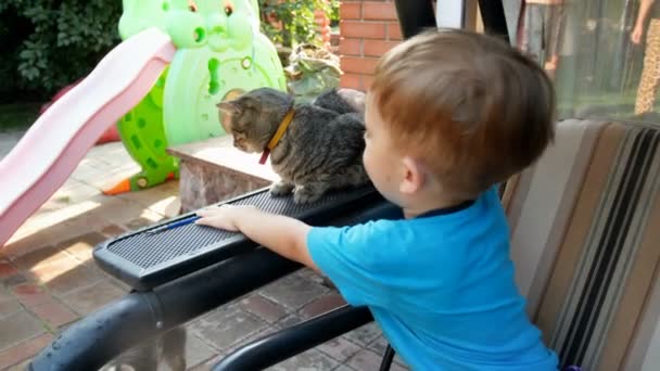 4k Filmmaterial von niedlichen Kleinkind Junge sitzt auf Bank im Hinterhof und streichelt graue Katze - Filmmaterial, Video