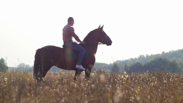 裸の胴体に強力な体格で男は自然に馬に乗って歩く - 写真・画像