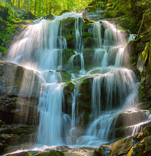 Forest waterfall Shipot. Ukraine, Carpathian mountains.  - Photo, Image