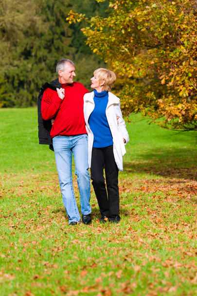 Senior couple walking in park - Photo, image