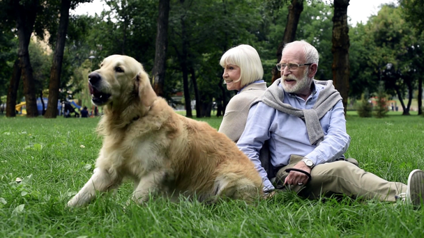 senior couple sitting on grass in park with dog, husband palming dog - Кадри, відео