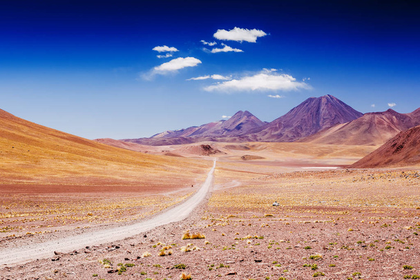 Beautiful scenario in the Atacama Desert, northern Chile, South America - Фото, зображення
