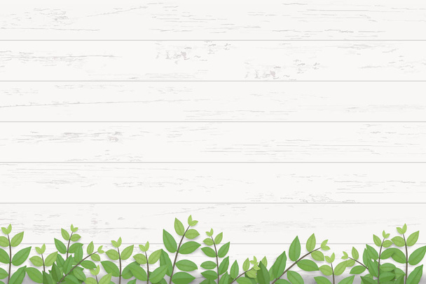 Wood plank texture background with green leaves. Realistic vector illustration. - Vector, Image