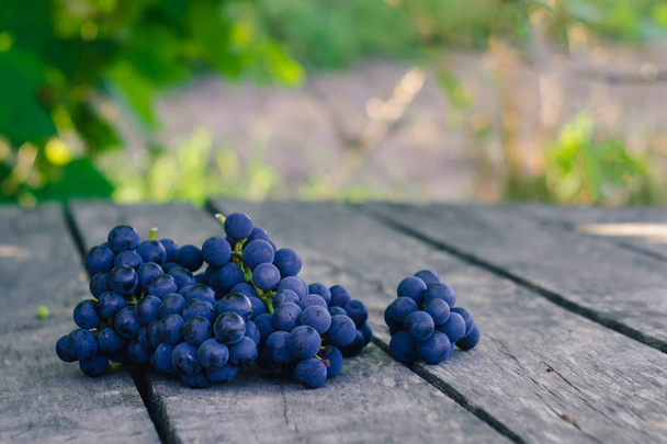 Uvas azules maduras en la antigua superficie de madera gris en el jardín
 - Foto, imagen