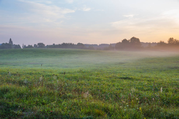 Město Kraslava, Lotyšsko. Brzy ráno slunce, louka, stromy a mlhy. Příroda foto. Cestování Fotografie 2018. - Fotografie, Obrázek