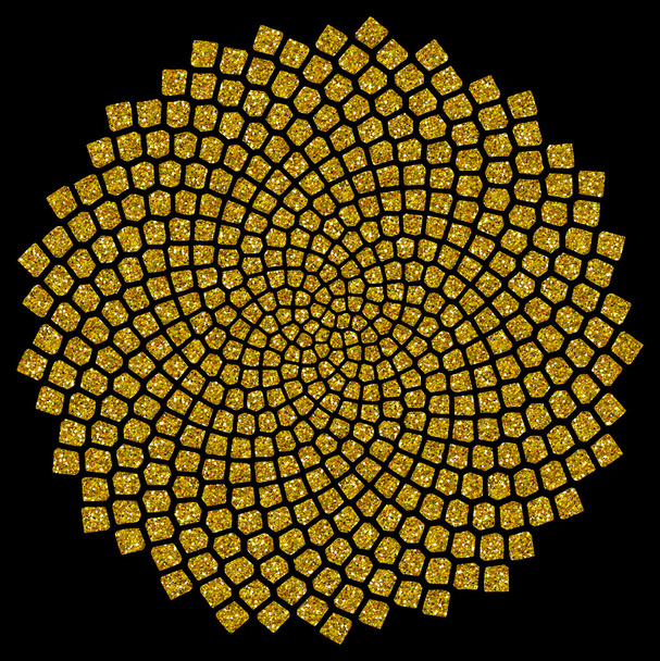 Nasiona słonecznika - złoty stosunek - złota spirala - spirala Fibonacciego, - Zdjęcie, obraz