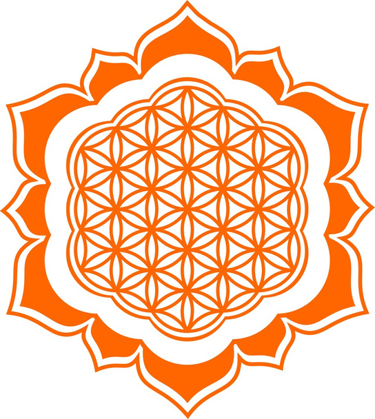 Flower of life - Lotus flower - symbol healing and harmony - Vector, Image