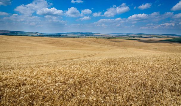 Moravische Toscane landschap, Zuid-Moravië, Tsjechië - Foto, afbeelding