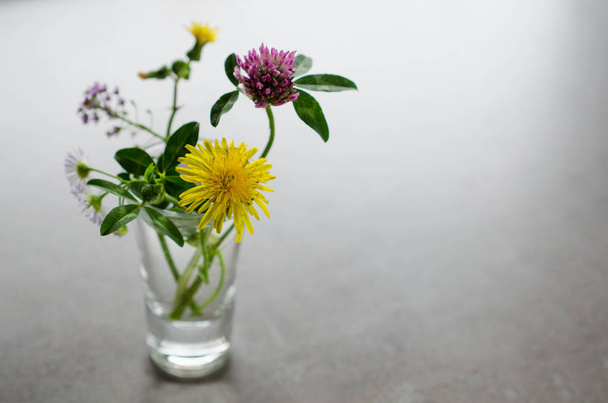 A small bouquet of wildflowers in a glass. - Zdjęcie, obraz