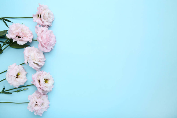 Bouquet of pink eustoma flowers on blue background - Zdjęcie, obraz