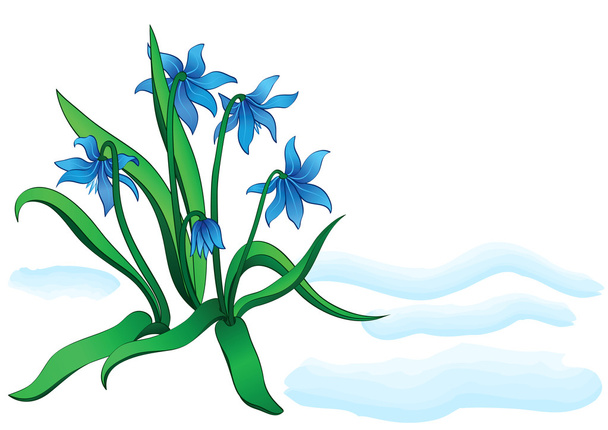 Snowdrop flowers - Διάνυσμα, εικόνα