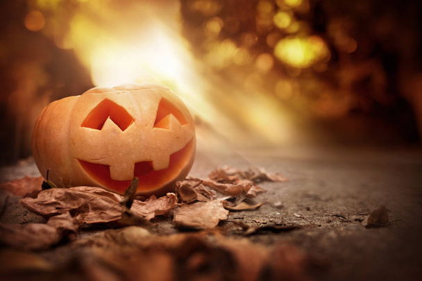 Un alegre sonriente Jack O Lantern en una noche de otoño de Halloween
. - Foto, imagen