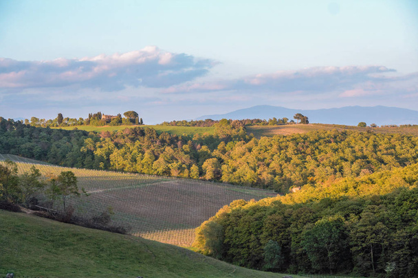 Paisagem da paisagem rural toscana, Val di Chiana, Siena
 - Foto, Imagem
