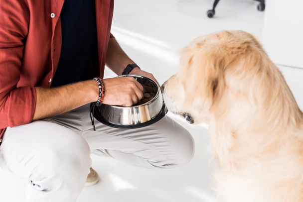 cropped view of man feeding golden retriever dog from hand - Fotó, kép