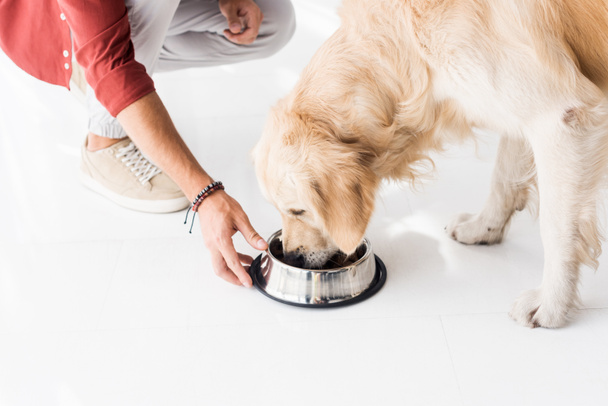 cropped view of man feeding golden retriever from dog bowl - Foto, Imagem