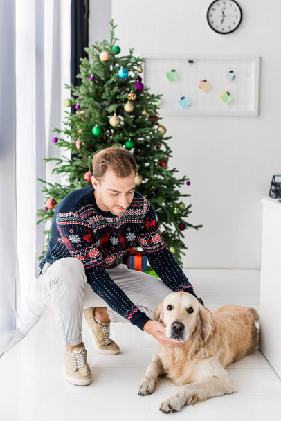 man in christmas sweater stroking golden retriever dog  - Zdjęcie, obraz