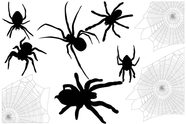 Набор на Хэллоуин из пауков и их паутины
 - Вектор,изображение