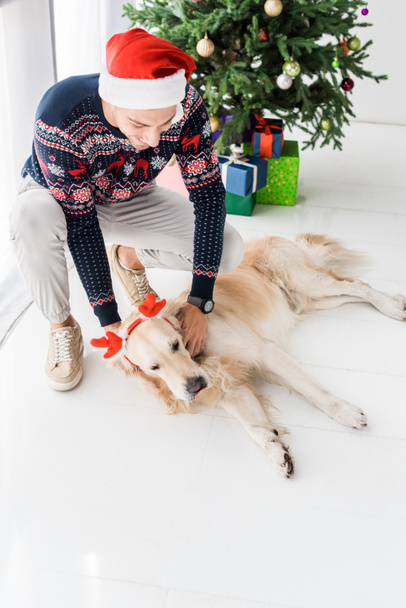 man in christmas sweater and santa hat stroking golden retriever dog  - Photo, Image