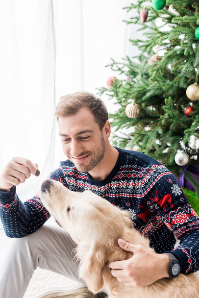 smiling man in winter sweater giving dog food to golden retriever near christmas tree - Foto, afbeelding