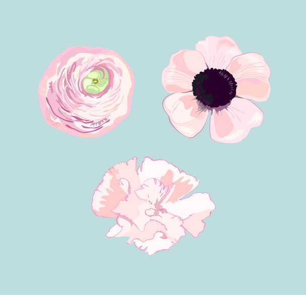 set of three pink flowers on blue background - Vector, Image