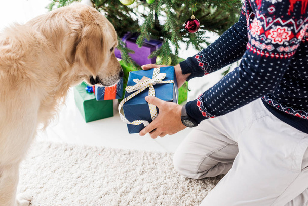 cropped view of man in giving christmas gift box to golden retriever - Φωτογραφία, εικόνα