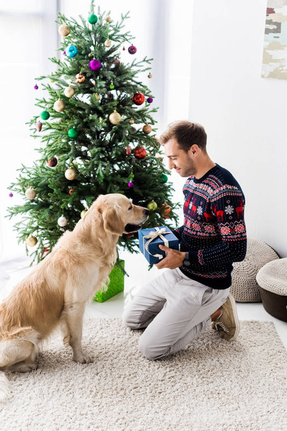 man in christmas sweater giving gift box to golden retriever near christmas tree - Фото, изображение