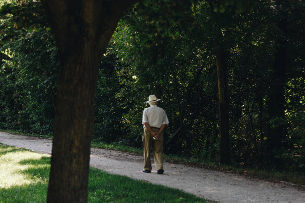 ウォーキングや、夏の間に 1 の公園で散歩を楽しむ一人で年配の男性 - 写真・画像