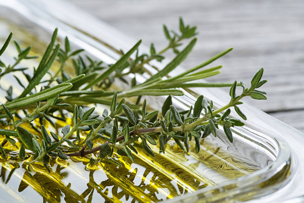 Olive oil with fresh herbs and spices close up - 写真・画像