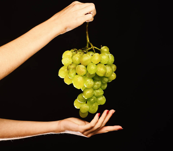 Cluster of white or green grapes in girls fingers. - Foto, afbeelding