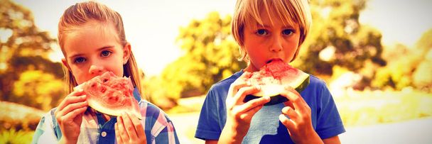 Close-up of siblings having watermelon in the park - 写真・画像