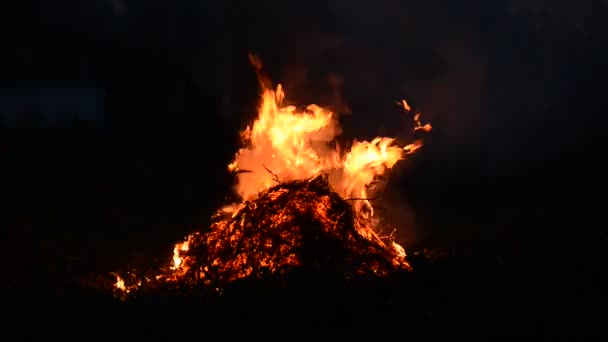 textúra a tűz. a tűz egy nagy láng. Közelkép máglya - Felvétel, videó
