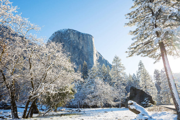 Güzel erken Bahar manzaraları Yosemite Milli Parkı'nda, Yosemite, ABD - Fotoğraf, Görsel