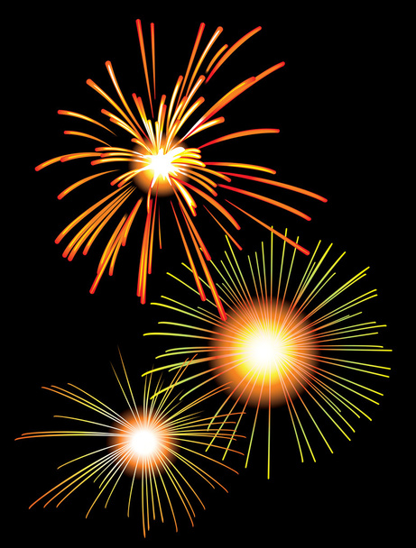 Fireworks in the night sky - Vector, Image