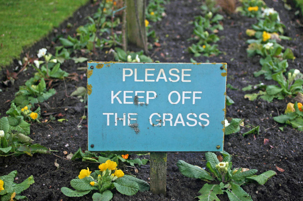 Soluk mavi zemin üzerine beyaz büyük harf yazı içinde kelime "Lütfen tutmak Off Grass" ile imzalayın. Süs campanula'lar bir çiçek yatakta dikilmiş. Tarafa çim çimen. - Fotoğraf, Görsel
