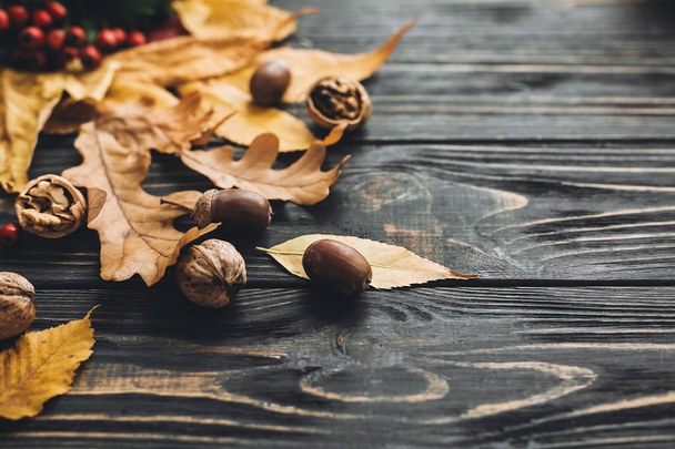 Dobrý den na podzim. Světlé barevné podzimní listí s žaludy a ořechy na rustikální dřevěné pozadí. Obrázek na podzim. Je čas sklizně. Veselé Díkuvzdání. Blahopřání maketa. - Fotografie, Obrázek