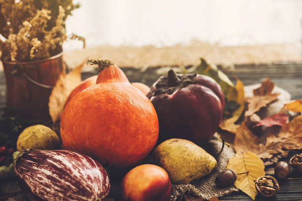 Boldog Hálaadás koncepció. Gyönyörű tököt fény, zöldség, a fényes őszi levelek, makk, dió, a fából készült rusztikus asztal. Hello ősszel. Őszi szezon üdvözlő kártya. Légköri kép - Fotó, kép