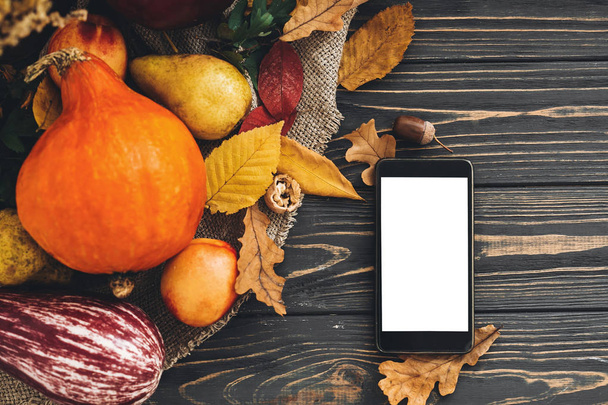 Happy Thanksgiving koncepcji. Telefon z pustego ekranu i piękne dyni z jasnym liści jesienią, żołędzie, orzechy, jagody na drewnianym stole rustykalne, płaskie leżał. Miejsca na tekst. Przytulne jesieni. - Zdjęcie, obraz