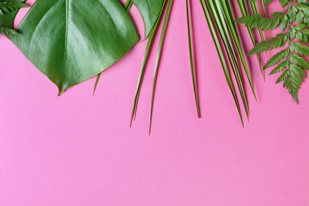 Fresh tropical leaves on color background - Photo, Image