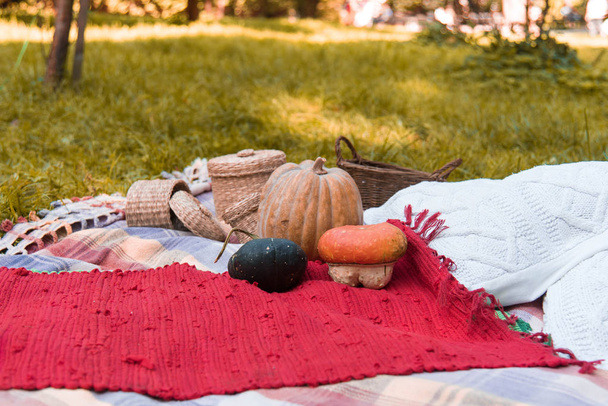 Een rustieke Herfst Stilleven met pompoenen in een mandje. Oogst of Thanksgiving. - Foto, afbeelding