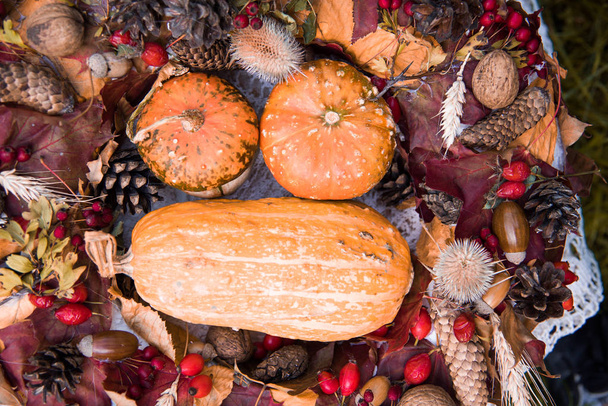 Une nature morte d'automne rustique avec des citrouilles. Récolte ou Thanksgiving. Affichage de citrouilles
 - Photo, image