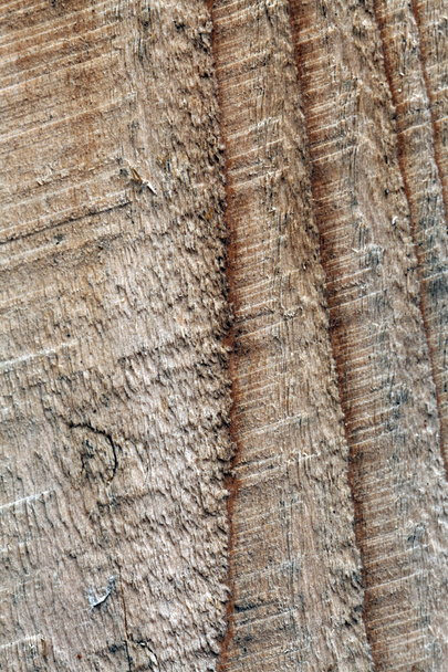 Макро знімок шматка текстури дерева
 - Фото, зображення