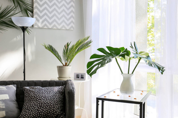 Tropical leaves in modern stylish interior - Foto, afbeelding