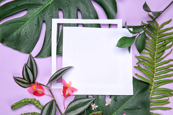 Composição com cartão em branco e folhas tropicais frescas no fundo da cor
 - Foto, Imagem