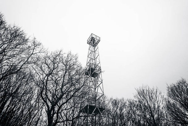 Phare aux couleurs monochromes dans une forêt en hiver avec silhouettes d'arbres en noir et blanc
 - Photo, image