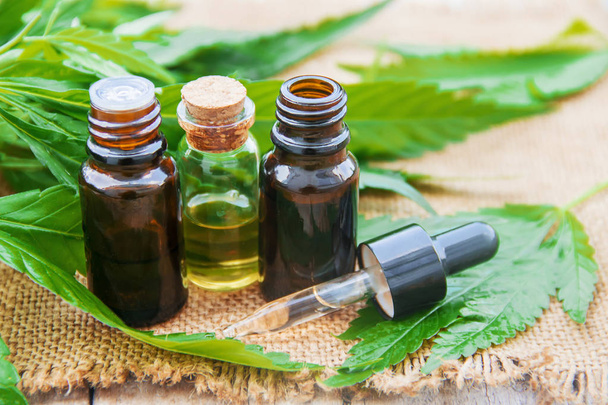 Cannabis herb and leaves for treatment - Фото, зображення